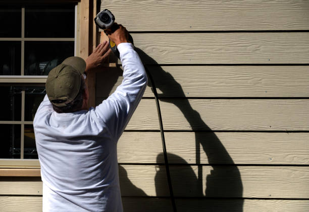 Best Stone Veneer Siding  in Faribault, MN